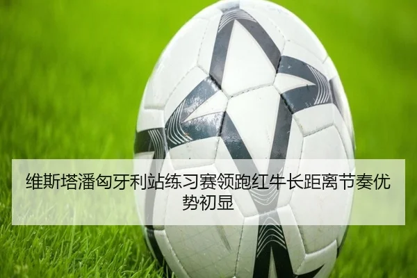 维斯塔潘匈牙利站练习赛领跑红牛长距离节奏优势初显
